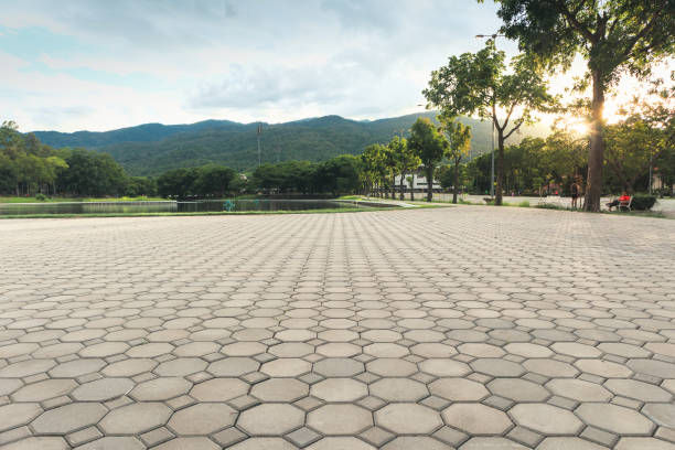 Best Affordable Driveway Pavers  in Nitro, WV